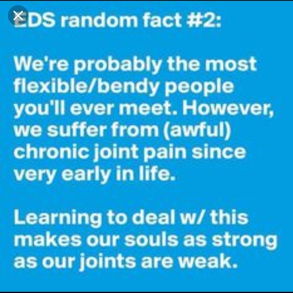 🦓 I am a Zebra 🦓 - Picture 3 of 8